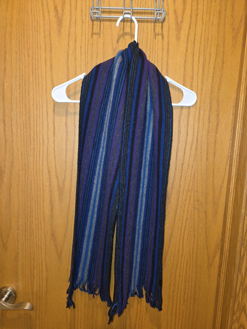 Ted Baker London Men's Blue & Purple Striped Scarf